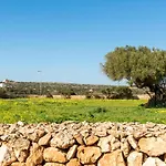 Flomertor 1 By Mauter Ciutadella (Menorca)