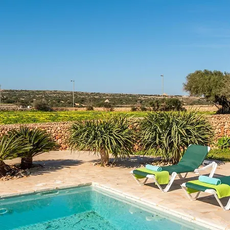 Flomertor 1 By Mauter *