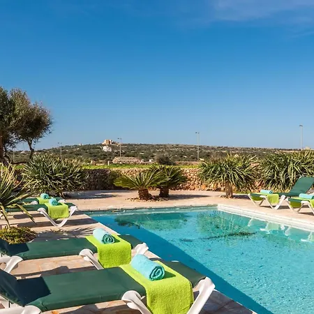 Flomertor 1 By Mauter *