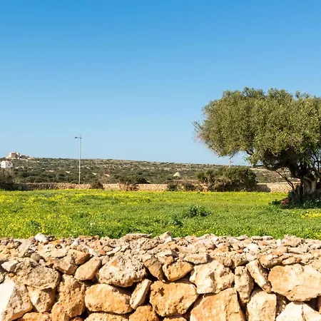 Flomertor 1 By Mauter Ciutadella (Menorca)